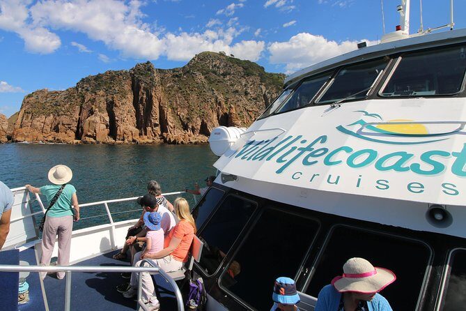 Cape Woolamai Sightseeing Cruise from San Remo - The Itinerary: What to Expect