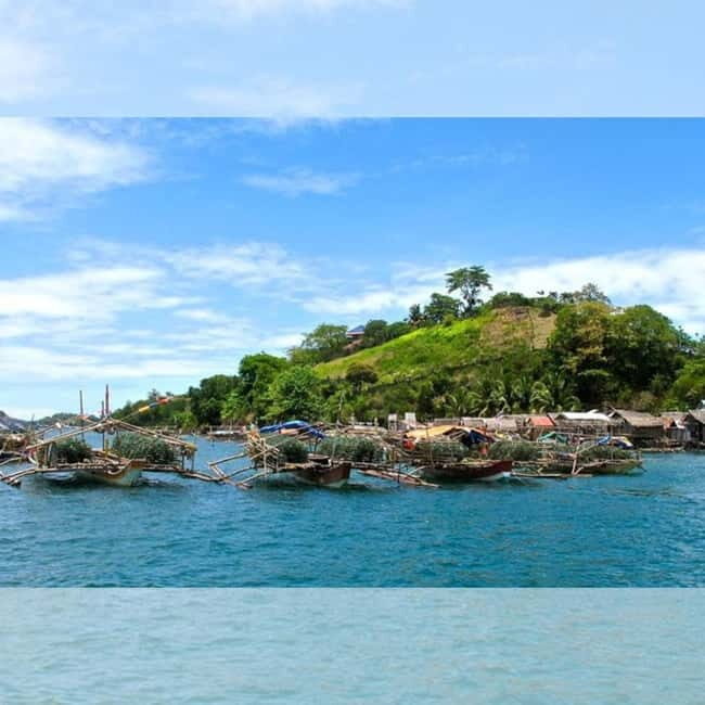 Capiz: Seafood Fiesta Culinary Tour - What to Expect on the Tour