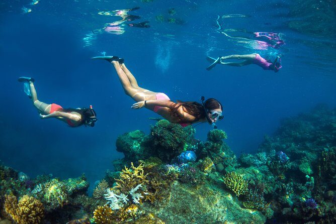 Captain Cook Cruises Fiji - Island and Reef Day Cruise - Who Would Love This Tour?