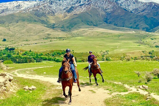 Cardrona High Country Pub Trail Horse Trek (Intermediate level+) - The Itinerary: What You’ll Experience