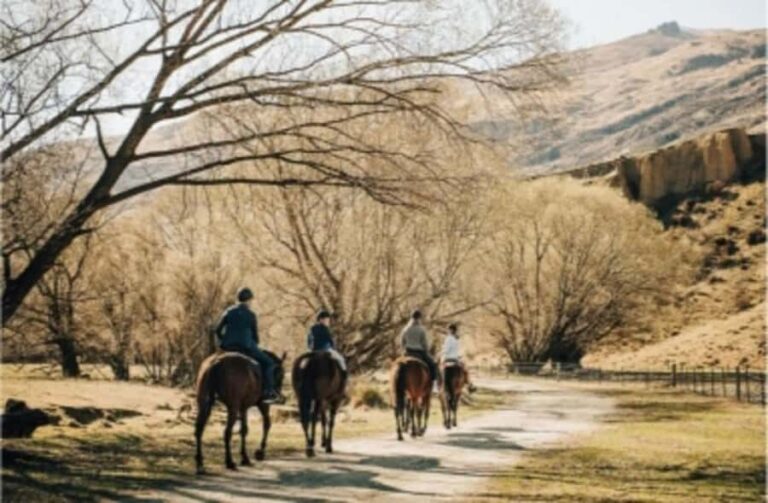 Cardrona Valley: Horse Trekking Experience - The Itinerary: What to Expect