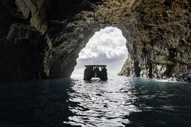 Cathedral Cove Coast and Cave Activity - The Experience of the Crew and Guides