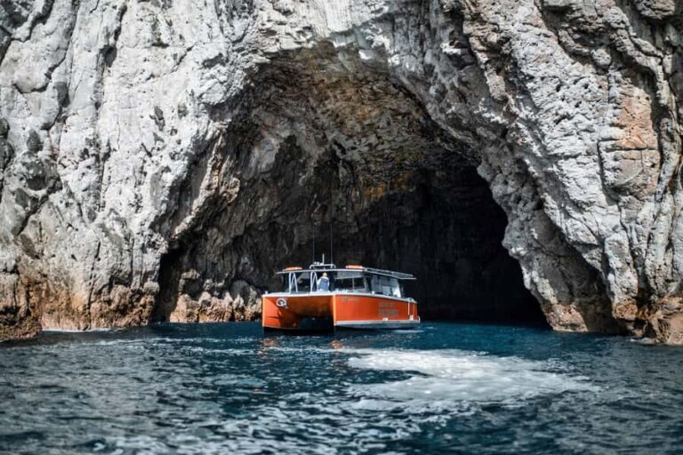 Cathedral Cove Coast and Cave Tour - Snorkeling & Marine Encounters