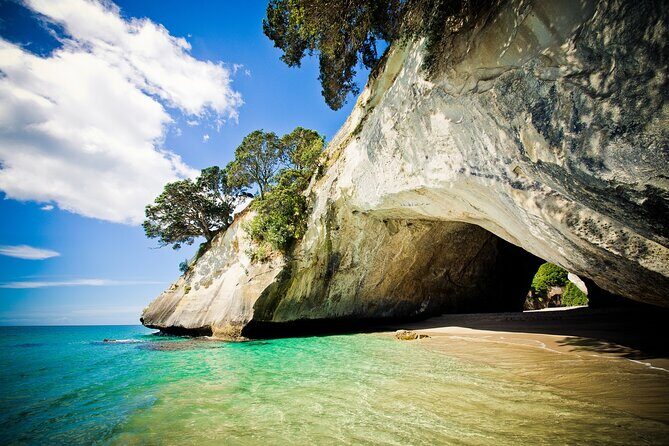Cathedral Cove & Coromandel Peninsula Small-Group Day Tours - Who Should Consider This Tour?