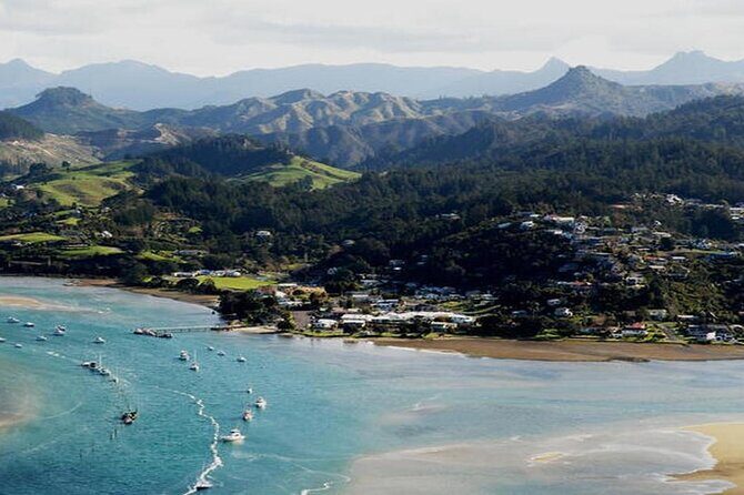 Cathedral Cove & Coromandel Private Experience from Auckland - Practical Details and What It Means for You