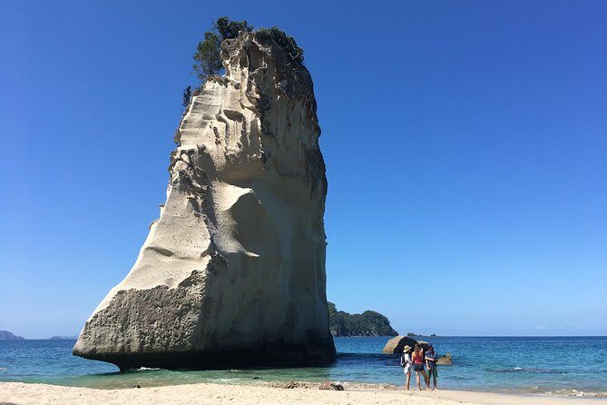 Cathedral Cove Day Trip from Auckland - Who Is This Tour Best For?