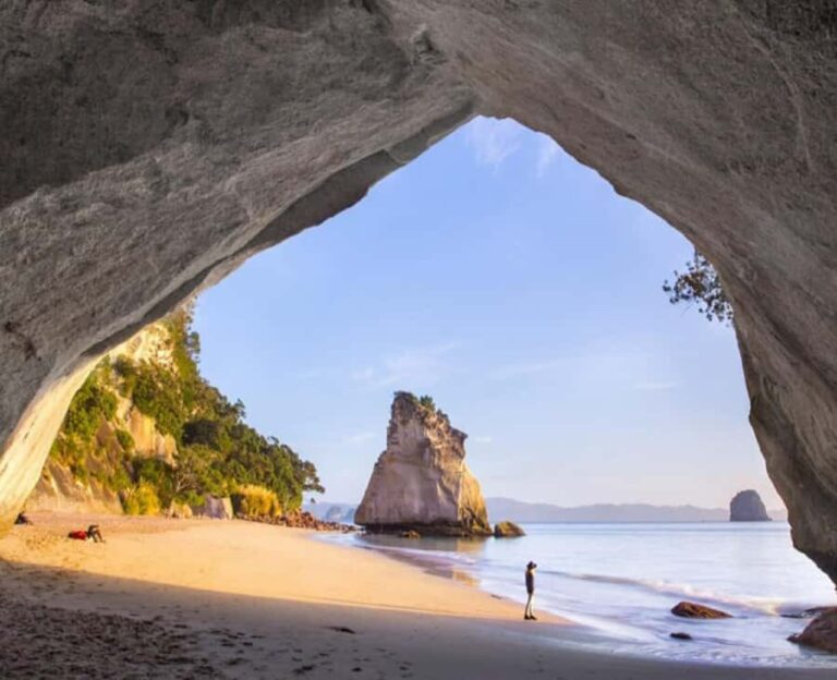 Cathedral Cove Electric Fat Tyre Bike Tour with Local Guide - Detailed Breakdown of the Itinerary