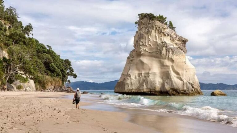 Cathedral Cove & Hot Water Beach Private Tour From Auckland - An In-Depth Look at the Tour Experience