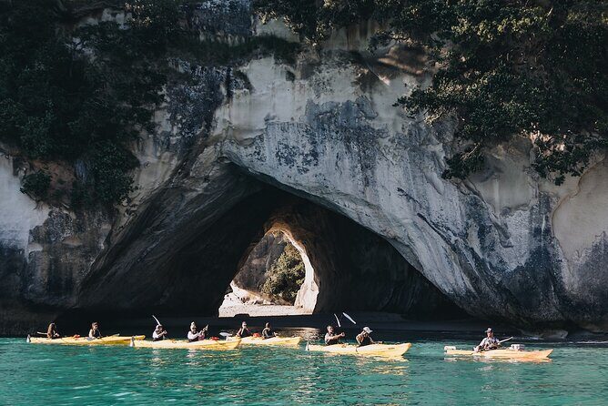 Cathedral Cove Kayak Tour - What to Expect on the Kayak Adventure