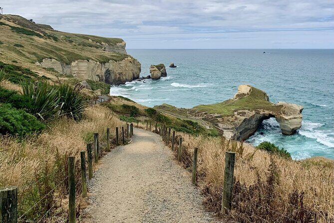 Catlins Cruiser Private Tour from Dunedin Cruise Port - How the Experience Comes Together