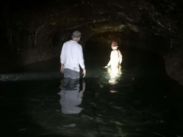 Cave Pool & Lava Tube Swims of Upolu - Why This Tour Offers Great Value