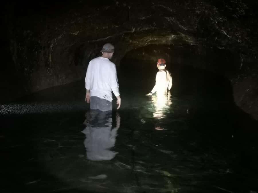 Cave Pool & Lava Tube Swims of Upolu - Why This Tour Offers Great Value