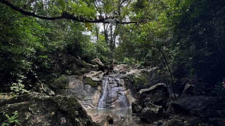 Cebu City: Guided Trekking Experience - The Scenic Stops and What to Expect