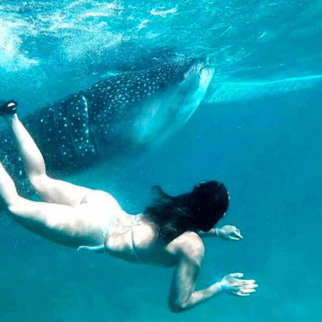 Cebu: Oslob Whale Shark, Sumilon, Ruins, Simala Church - The Practical Side: What You Need to Know