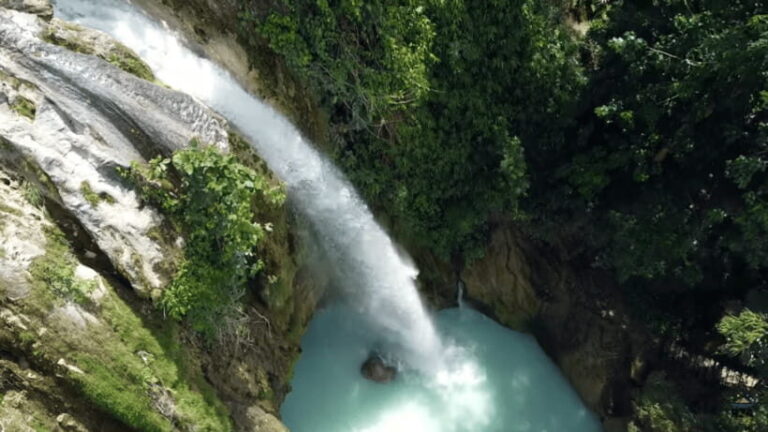 Cebu:Oslob Whales,Sumilon Island & Inambakan Falls Adventure - Why This Tour Works