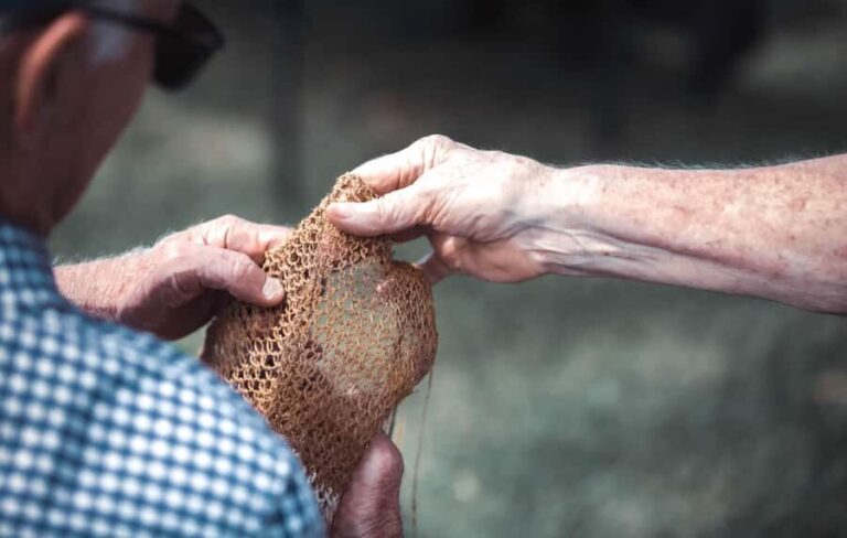 Central Coast: Aboriginal Storytelling and Wine Tasting Tour - The Itinerary and Atmosphere