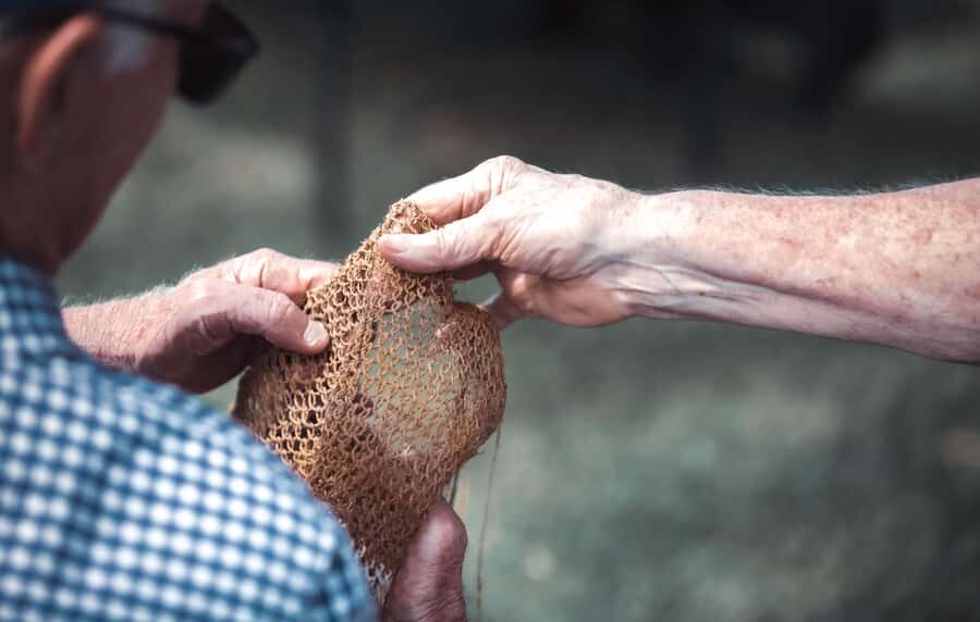 Central Coast: Aboriginal Storytelling and Wine Tasting Tour - The Itinerary and Atmosphere