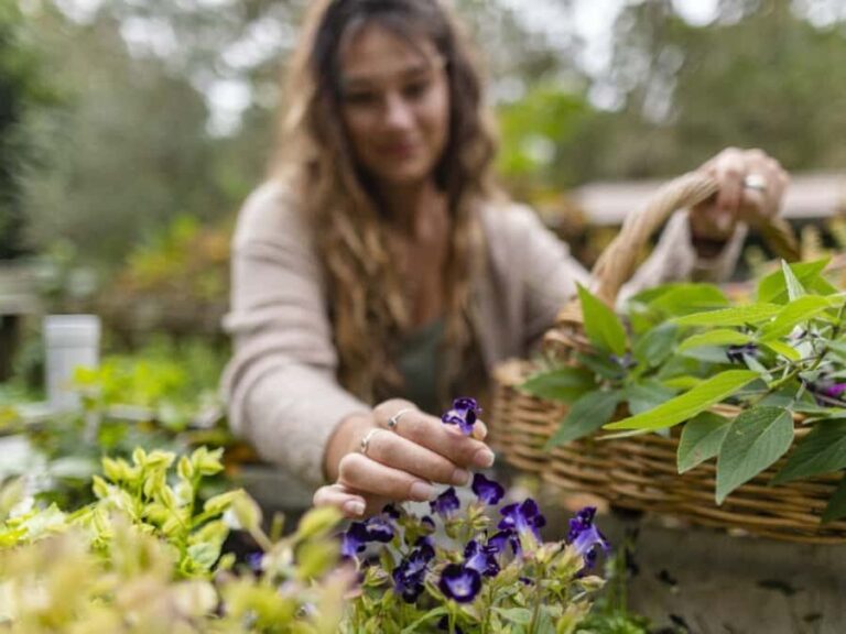 Central Coast Foraging & Mixology Workshop - Key Points