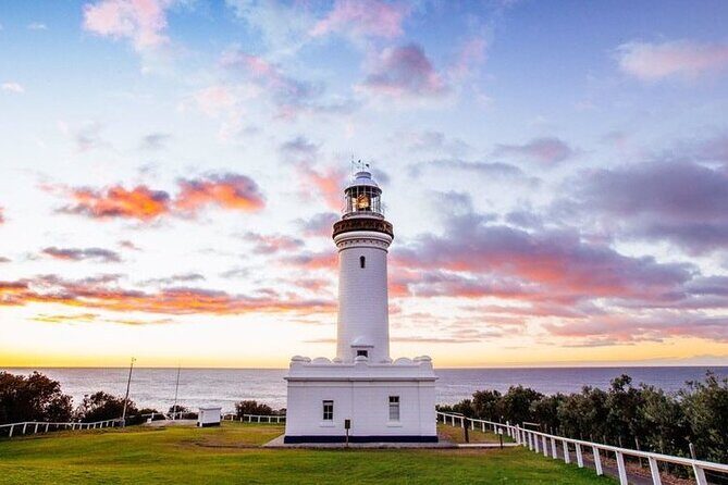 Central Coast Private Day Tour | Beaches, Bays and Wildlife & Reptile Park Entry - Practical Details and What to Expect