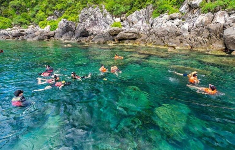 Cham Island: Experience Snorkeling and Lunch In A Day Tour - Itinerary Breakdown