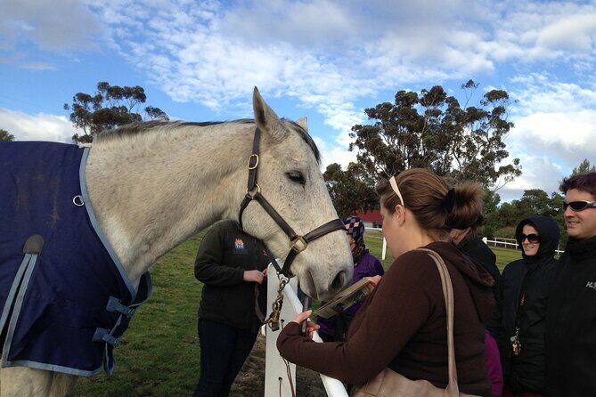 Champion Racehorse Tour with Beer and Wine Tasting - The Experience Beyond the Main Attractions