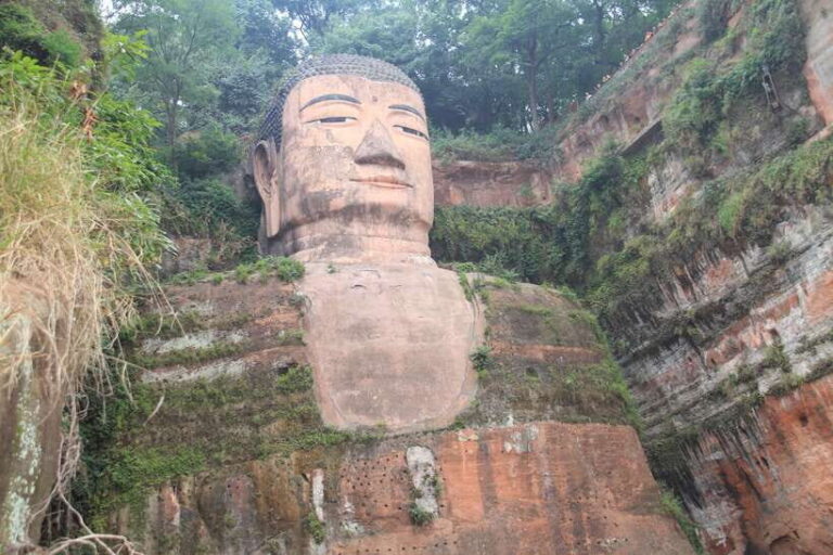 Chengdu: Giant Panda and Leshan Buddha Sall Group Day Tour - What You Can Expect from the Tour