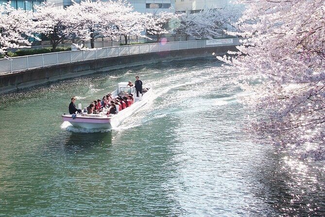 Cherry Blossom Sightseeing River Boat Experience - Final Thoughts