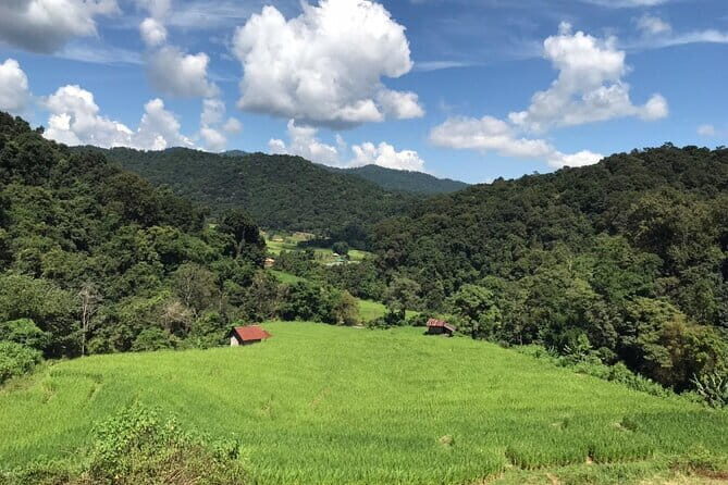 Chiang Mai Doi Inthanon National Park Day Tour - What Travelers Say: Authentic Feedback