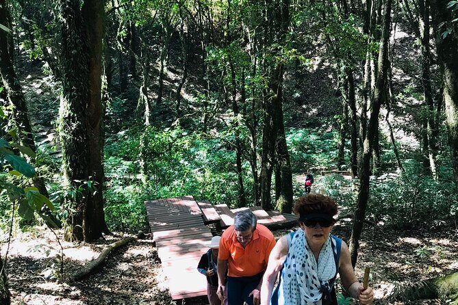 Chiang Mai Doi Inthanon Nature, Culture & Highest Point - Practical Details and What to Expect