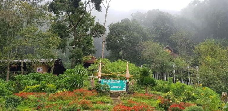 Chiang Mai: Doi Suthep Temple & Hmong Village Tour - What Travelers Say