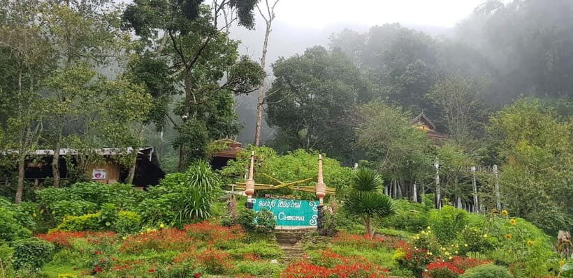 Chiang Mai: Doi Suthep Temple & Hmong Village Tour - What Travelers Say