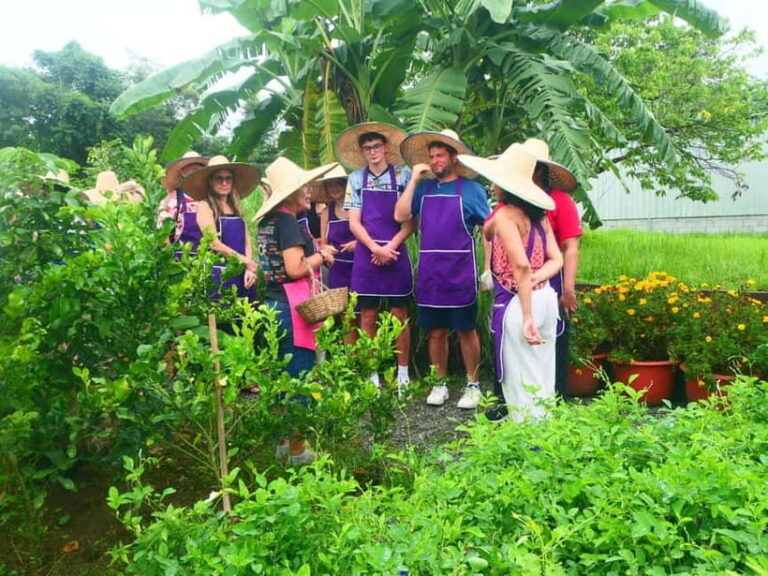 Chiang Mai: Full-Day Thai Cooking Experience at a Local Farm - The Value of This Tour
