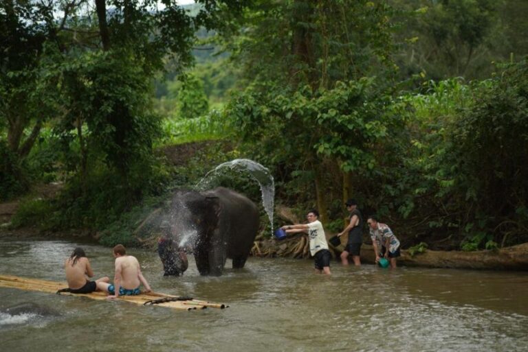 Chiang Mai: National Elephant Care, Rafting, & Ziplines Trip - What Sets This Tour Apart