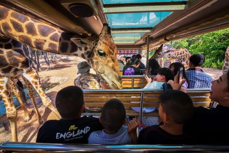 Chiang Mai Night Safari Full Access Ticket & Optional Pickup - How the Experience Breaks Down
