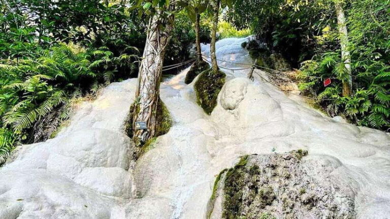 Chiang Mai: Sticky Waterfall, Chet Si Fountain Park Transfer - Analyzing the Cost and Value