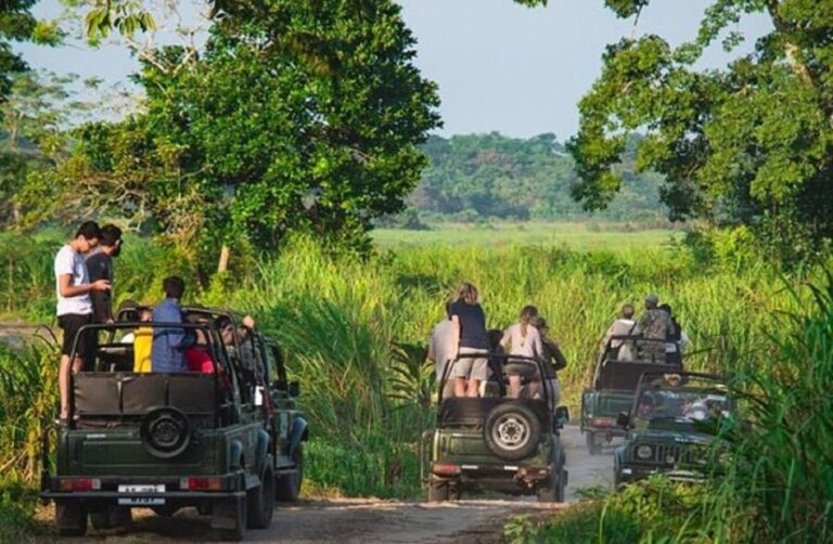 Chitwan Jungle safari 2 Nights 3 Days from Kathmandu - Analyzing the Value