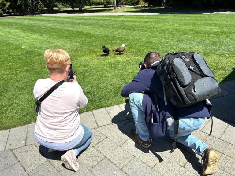 Christchurch City Top Spots Private Half Day Tour - The Itinerary in Detail