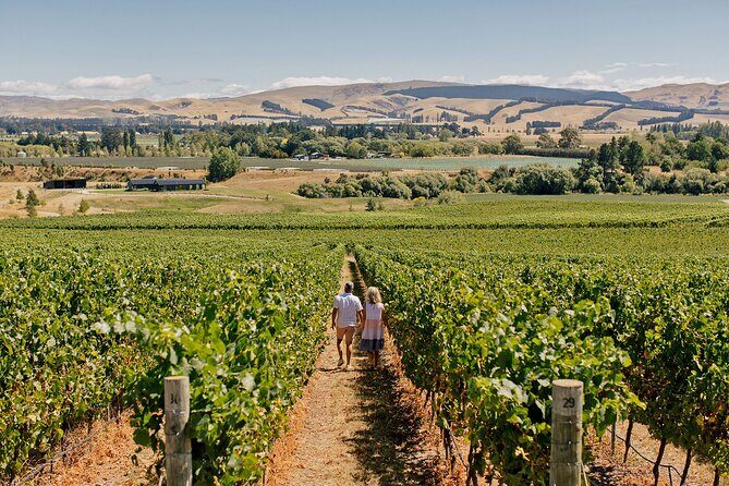 Christchurch City & Waipara Valley Wine Tour - Christchurch Botanic Gardens: A Natural Warm-Up