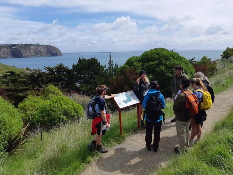 Christchurch: Godley Head & Lyttelton Guided Walking Tour - Pricing and Value