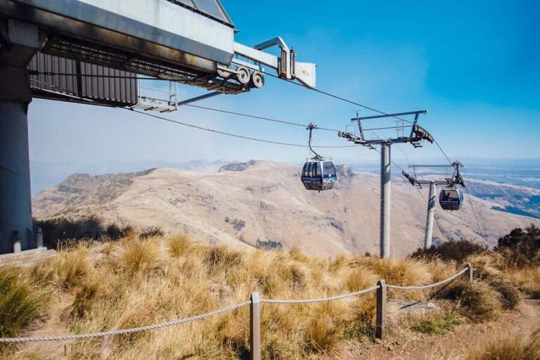Christchurch: Gondola Ticket and Punt Ride on the Avon River - Who Will Love This Tour?