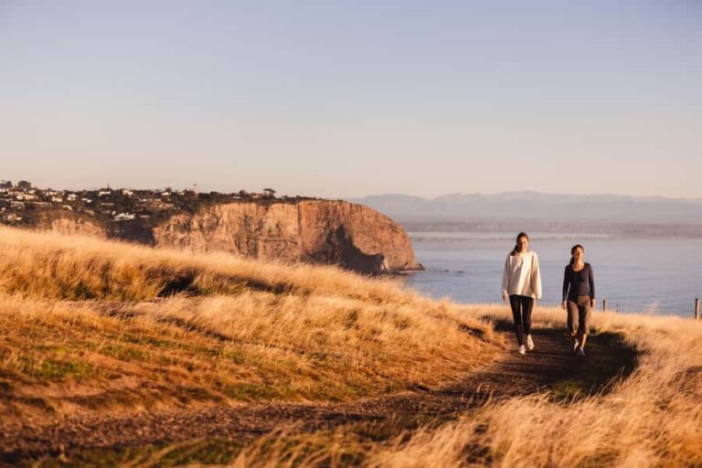 Christchurch: Guided Crater Rim Walk with Coastal Scenery - Why the Guides Make a Difference