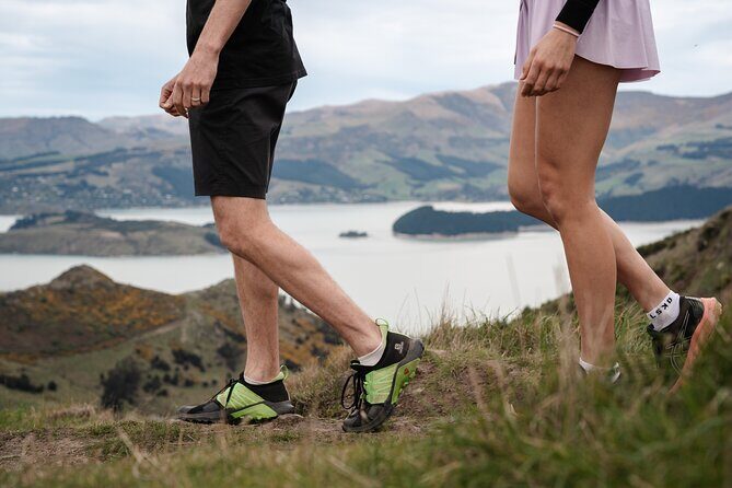 Christchurch Highlights Tour (Full Day Private) - What Makes This Tour Stand Out?