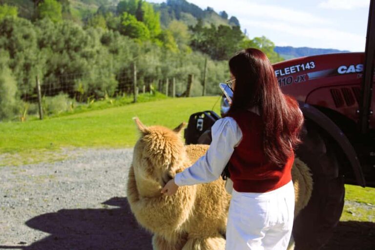 Christchurch: Lake Tekapo Stargazing & Mount Cook 2-Day Tour - What Makes This Tour Stand Out?