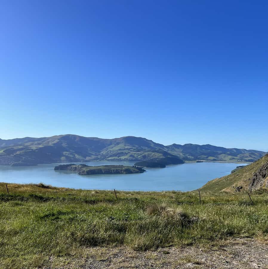 Christchurch: Port Hills Full-Day Trail Running Tour - Trail exploration: what to expect?