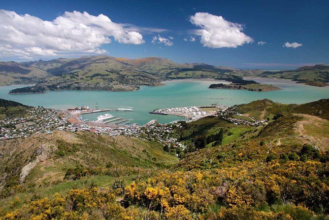 Christchurch Private Luxury Full Day Tour - The Itinerary Breakdown: What You Can Expect