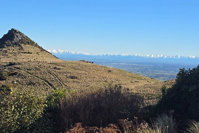 Christchurch Private Tour (Premium) Full day - Who Should Book This Tour?