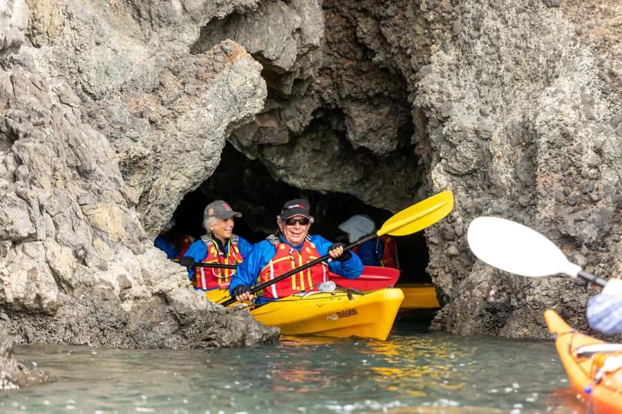 Christchurch: Sea Kayaking Tour of Lyttelton Harbour - Who Will Love This Tour?