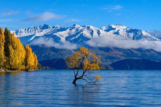 Christchurch to Queenstown 2 Day Tour via Franz Josef - What Makes This Tour Stand Out?