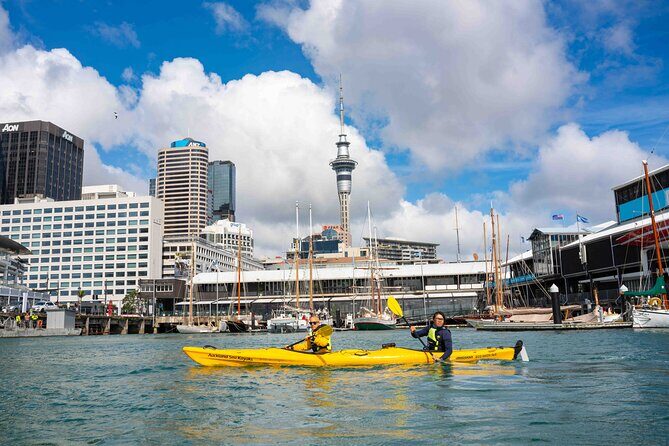 City Scenes Kayak Tour in Auckland - Explore the Waterfront - The Sum Up
