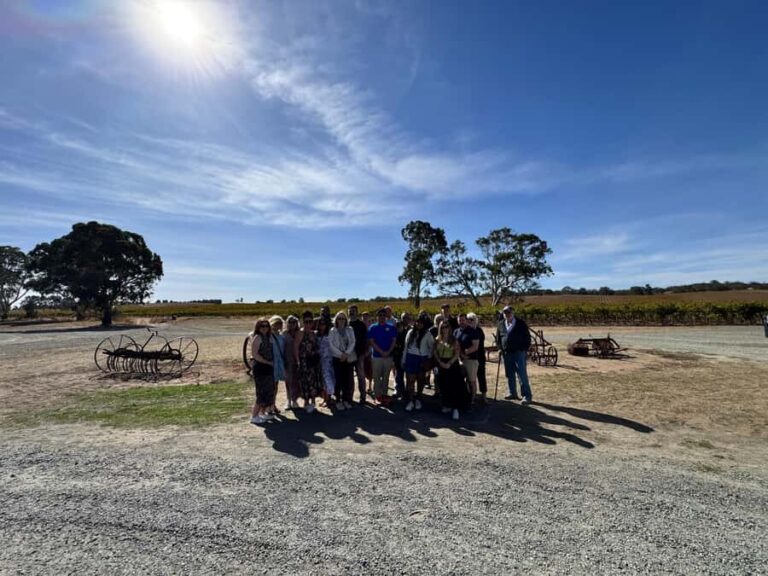 Clare Valley Uncorked: Full-Day Wine Adventure - What to Expect Throughout the Day